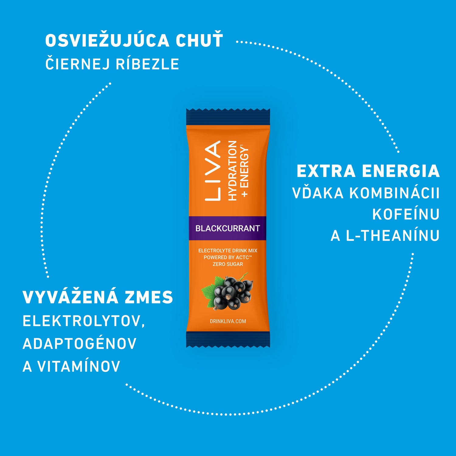 HYDRATION + ENERGY - Blackcurrant